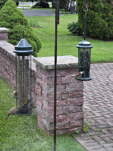 Photo from customer review