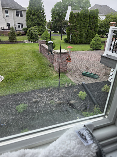 Photo from customer review