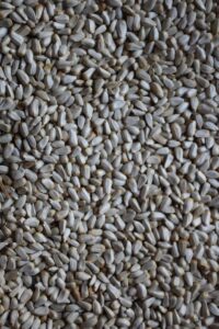 Safflower Seeds