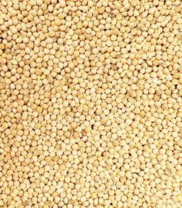 White Millet